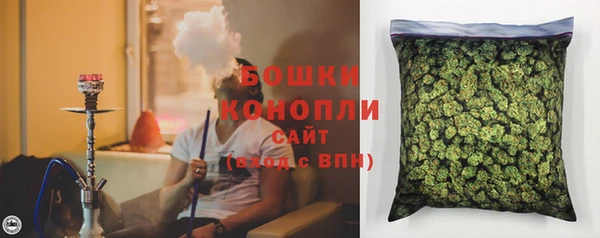 мдпв Семилуки