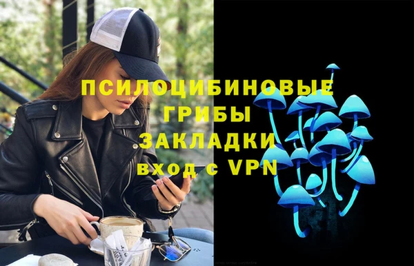 тгк Горнозаводск