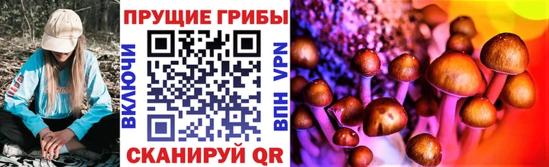 Галлюциногенные грибы Magic Shrooms  цена   Высоковск 